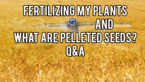 fertilizing plants