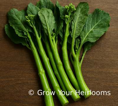 Yod Fah Chinese Broccoli